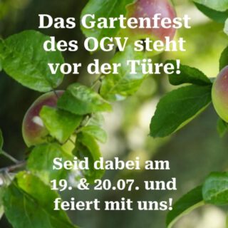 🍎🌳 Das schönste Fest in Asperg steht wieder vor der Tür!
Am 19. & 20.07. feiern wir das Gartenfest unter den Apfelbäumen mit dem OGV Asperg – leckeres Essen, kühle Getränke und traumhafte Stimmung unterm Lichterhimmel.
🎉 Am Sonntag sind wir Asperger Töne mit dabei – natürlich mit jeder Menge Kuchen!
Freut euch auf Käsekuchen, Obstkuchen & mehr – auch zum Mitnehmen. Bringt gerne eure Mehrwegboxen mit. 💚🍰
Danke an den OGV, dass wir wieder mit unserem Kuchenstand dabei sein dürfen!
Wir sehen uns unter den Apfelbäumen! 🍎✨
#Gartenfest #OGVAsperg #AspergerTöne #KuchenLiebe #KäsekuchenAlarm #ObstkuchenGlück #MehrwegMachtFreu #AspergFeiert #UnterApfelbäumen